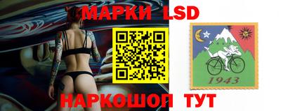 Альфа ПВП Новозыбков
