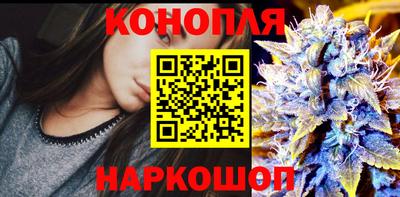 прущие крисы Новокубанск