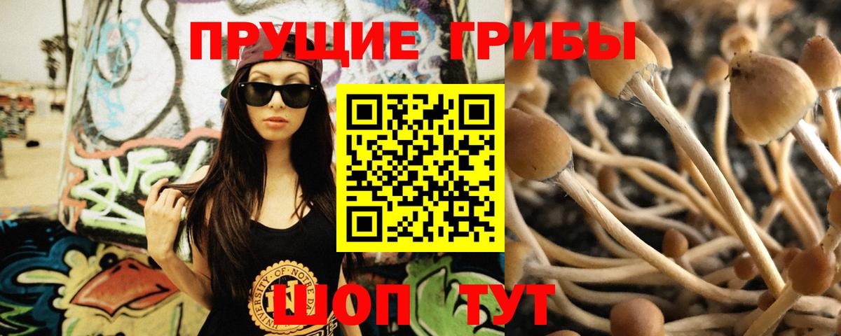 Галлюциногенные грибы Psilocybine cubensis Усолье-Сибирское